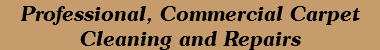 Professional, Commercial Carpet Cleaning and Repairs